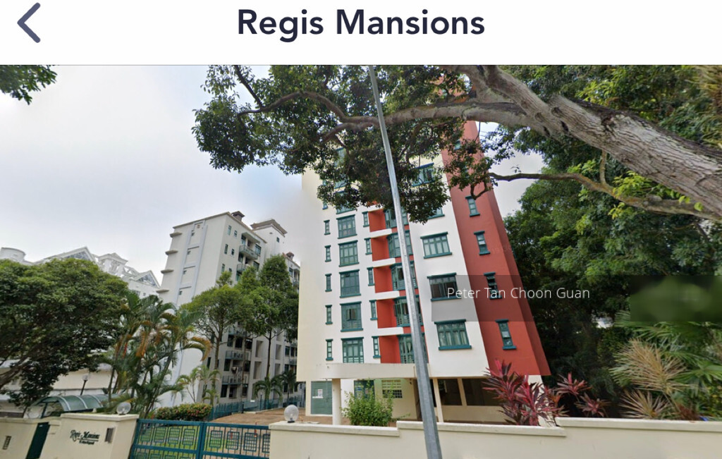 Regis Mansions (D21), Apartment #239491721